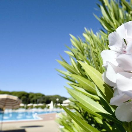 Isa-Apartments 4 Beds In Residence With Swimming-Pool In San Vincenzo, Just 600 Meters From The Sea Kültér fotó