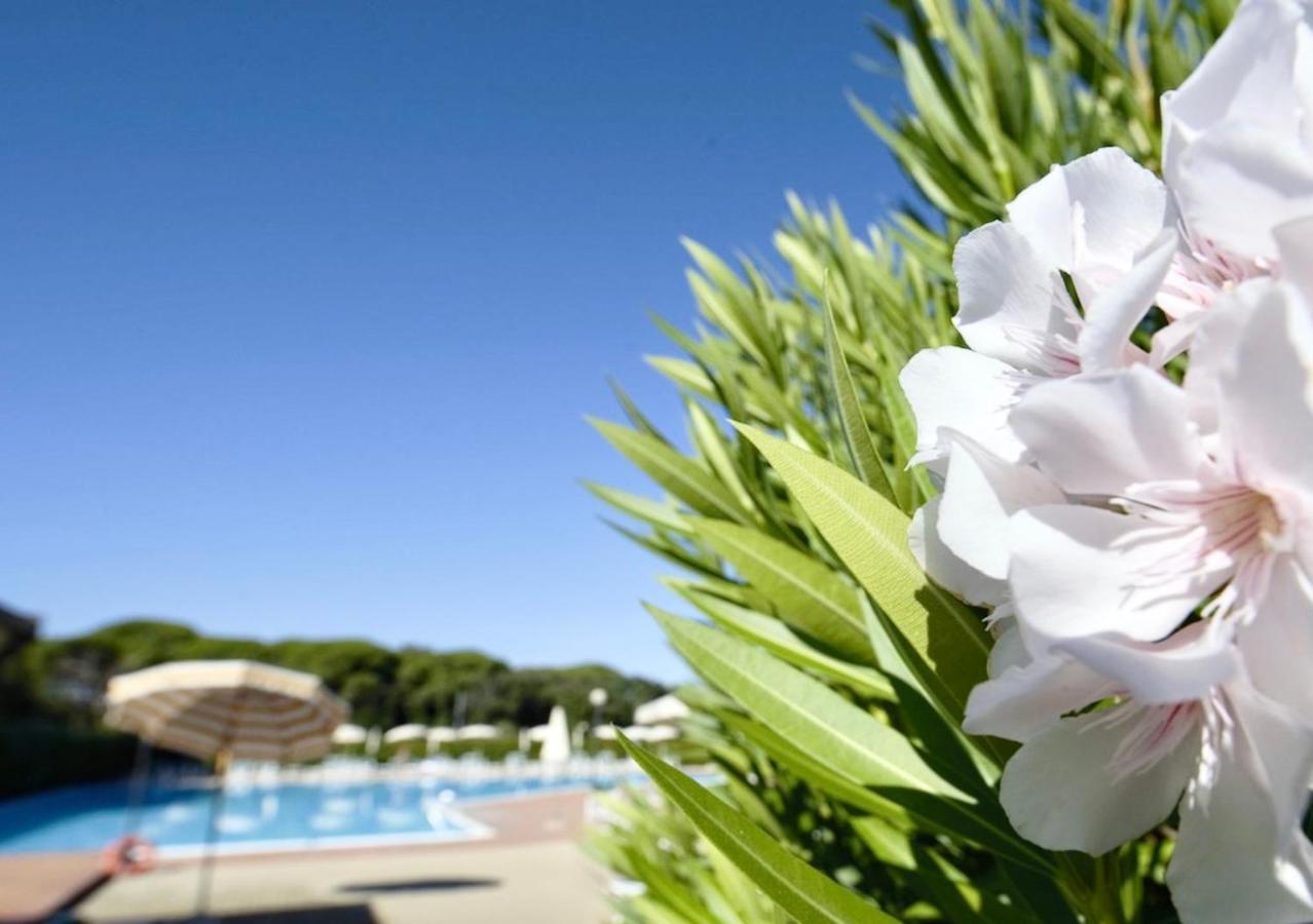 Isa-Apartments 4 Beds In Residence With Swimming-Pool In San Vincenzo, Just 600 Meters From The Sea Kültér fotó